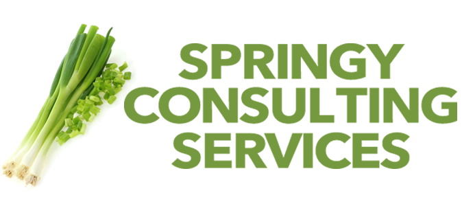 Springy Consulting Services
